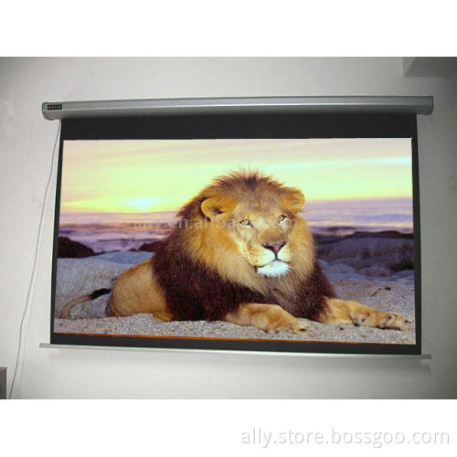 Top Grade Motorized Screen with remote